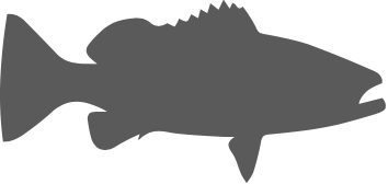 http://bigpinefishing.com/wp-content/uploads/2016/09/cropped-cropped-logo-1.png